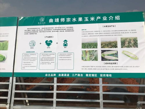 推廣有機(jī)肥改良土壤結(jié)構(gòu)，云南國(guó)發(fā)助力師宗煙草綠色高質(zhì)量發(fā)展